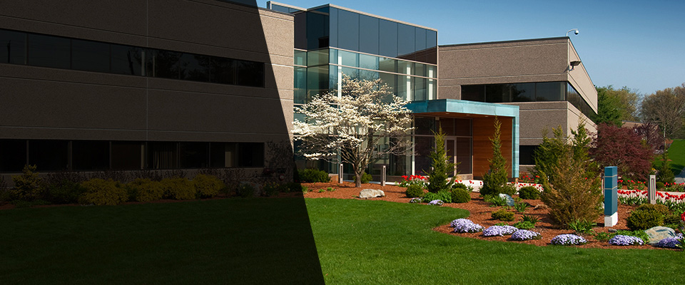 New Rochelle Landscapers